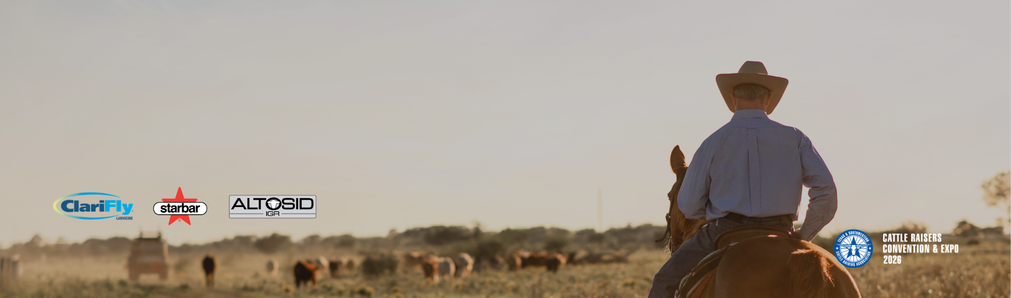 John Jenkins-Desktop