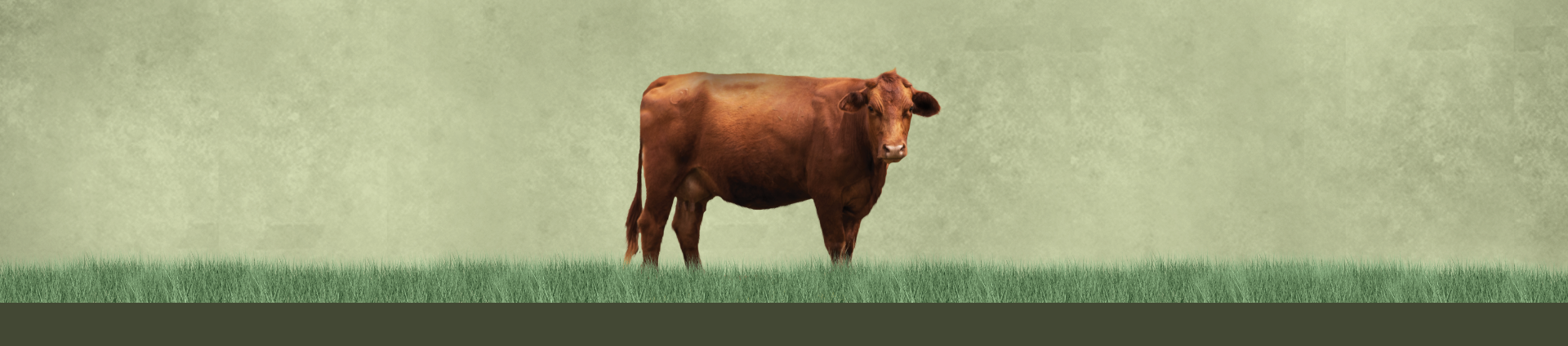 MineralTrial-LPHeader