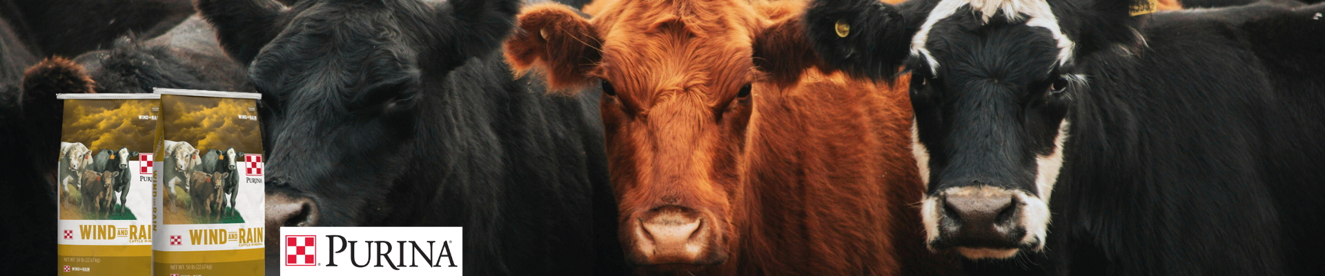 Purina Giveaway LP desktop