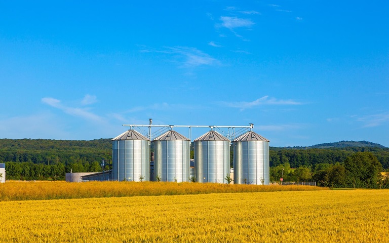 stored-grain-protectants