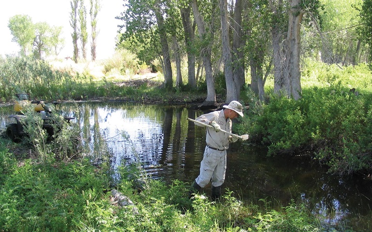 mosquito-control-products